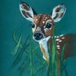Hertje pastel potloden A5