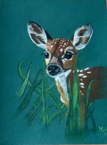 Hertje pastel potloden A5